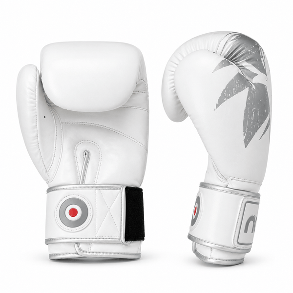 Raion Pro Boxing Gloves