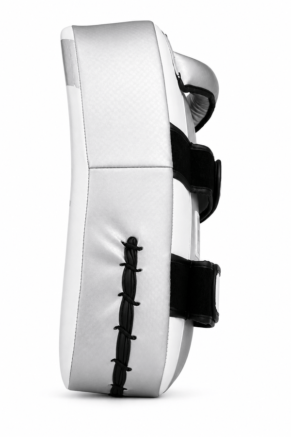 Raion Pauo Thai Pads