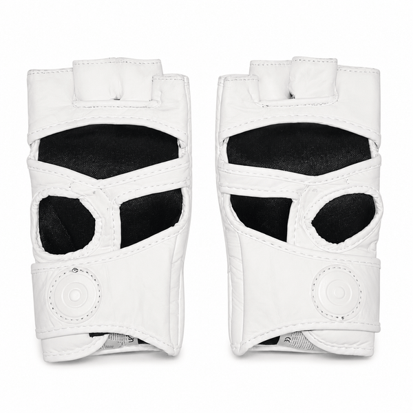 Raion Elite MMA Gloves
