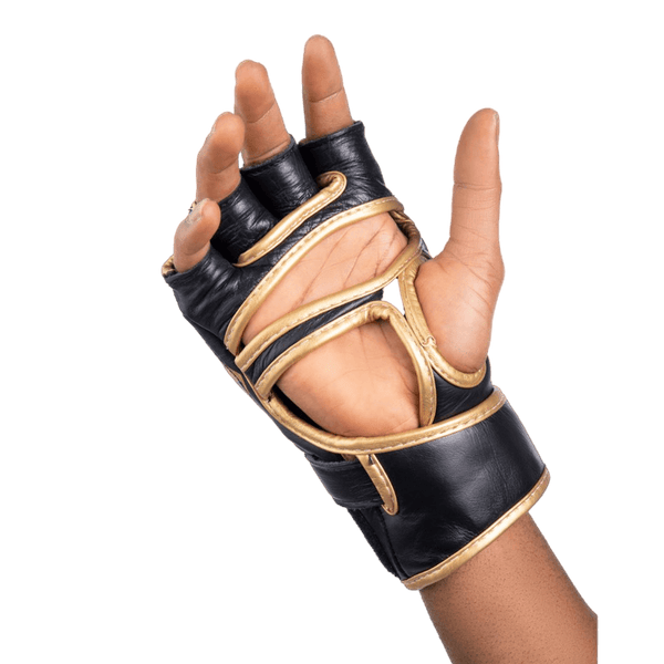 MMA GLOVES-BLACK/GOLD - RAION