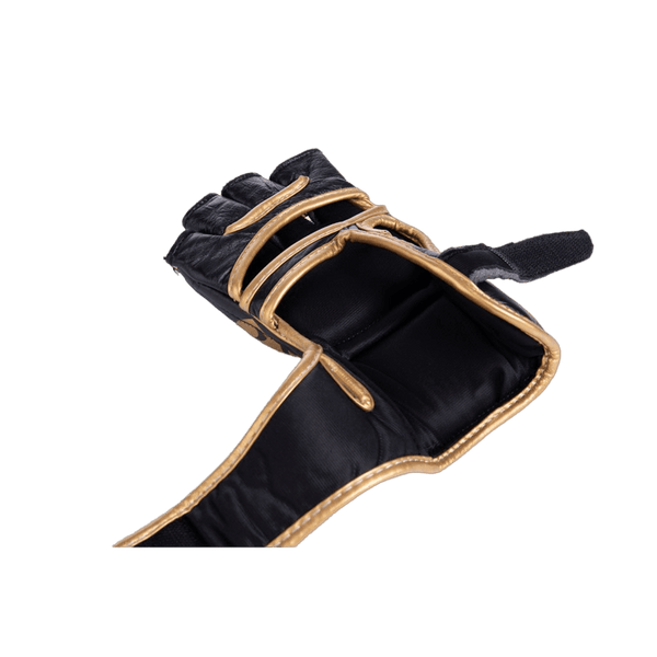 MMA GLOVES-BLACK/GOLD - RAION