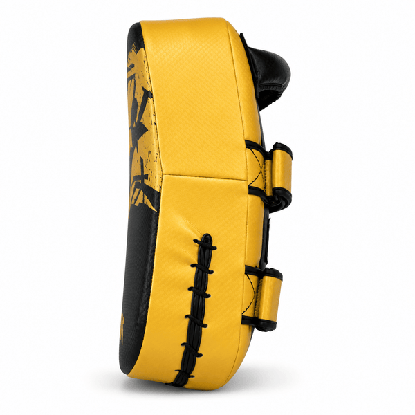 Raion Pauo Thai Pads