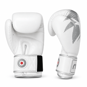 Raion Pro Boxing Gloves