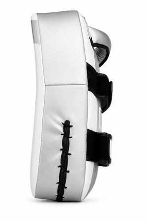 Raion Pauo Thai Pads