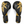 Raion Pro Boxing Gloves