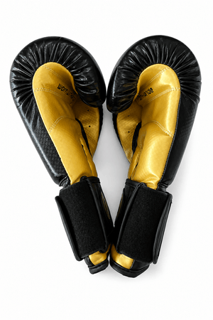 Raion Pro Boxing Gloves