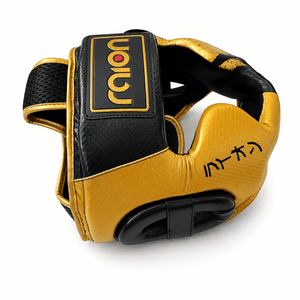 Raion Pro Head Gear