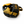 Raion Pro Head Gear