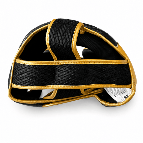 Raion Pro Head Gear