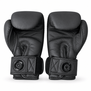 Raion Elite Boxing GLoves