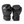 Raion Elite Boxing GLoves