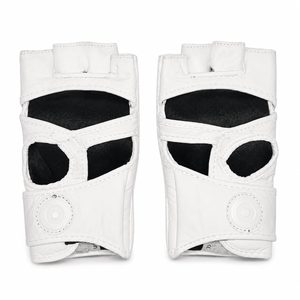 Raion Elite MMA Gloves