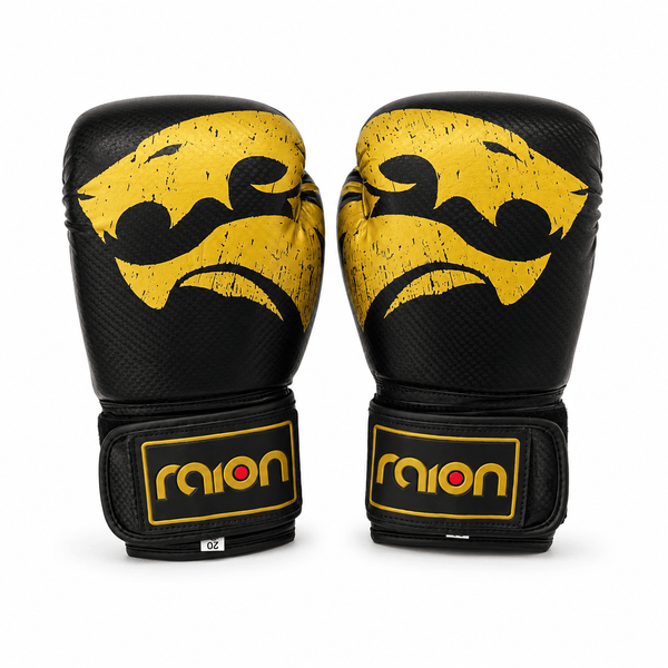 Raion Pro Boxing Gloves
