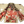 BJJ Gi (Forest)