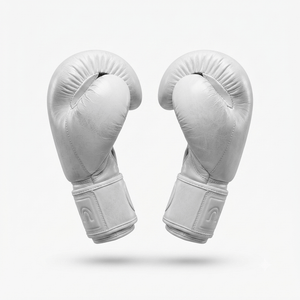 Raion Elite Boxing GLoves