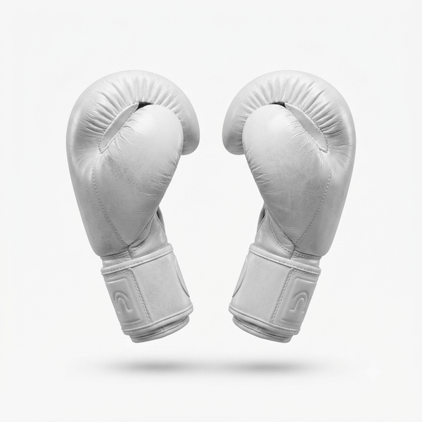 Raion Elite Boxing GLoves