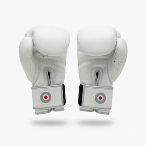 Raion Pro Boxing Gloves