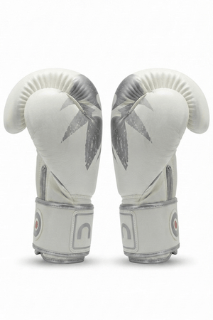 Raion Pro Boxing Gloves