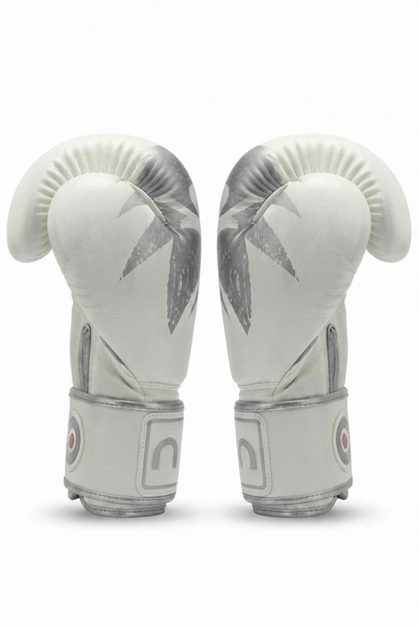 Raion Pro Boxing Gloves