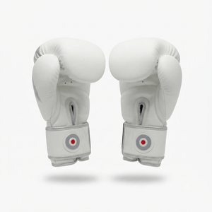Raion Pro Boxing Gloves