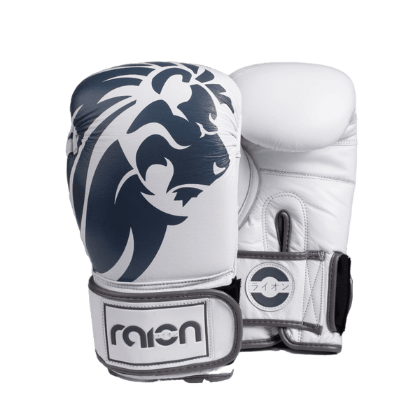 BOXING GLOVES-WHITE/GREY - RAION